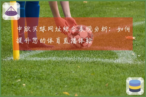 中欧买球网址综合表现分析:如何提升您的体育直播体验