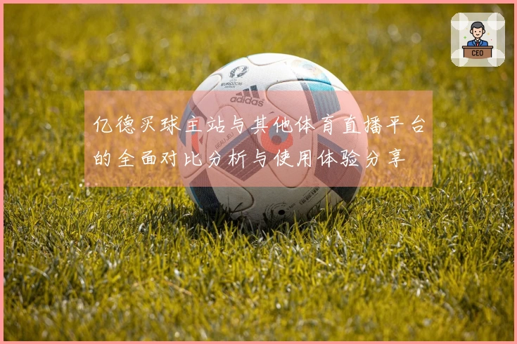 亿德买球主站与其他体育直播平台的全面对比分析与使用体验分享
