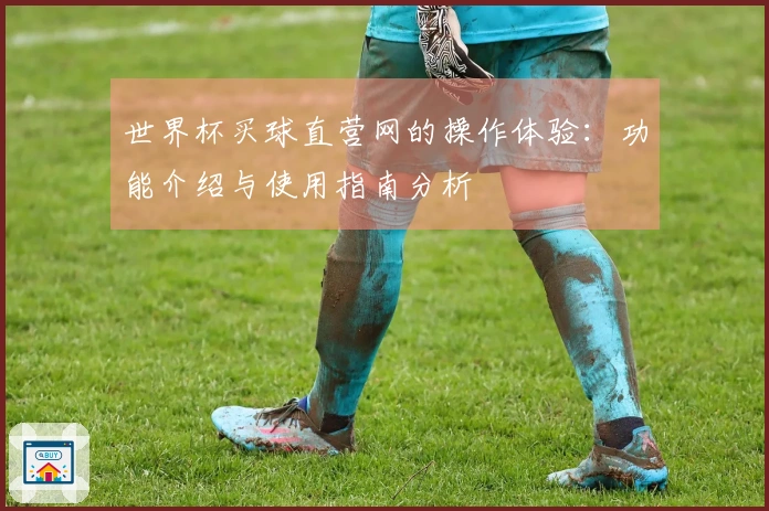世界杯买球直营网的操作体验：功能介绍与使用指南分析