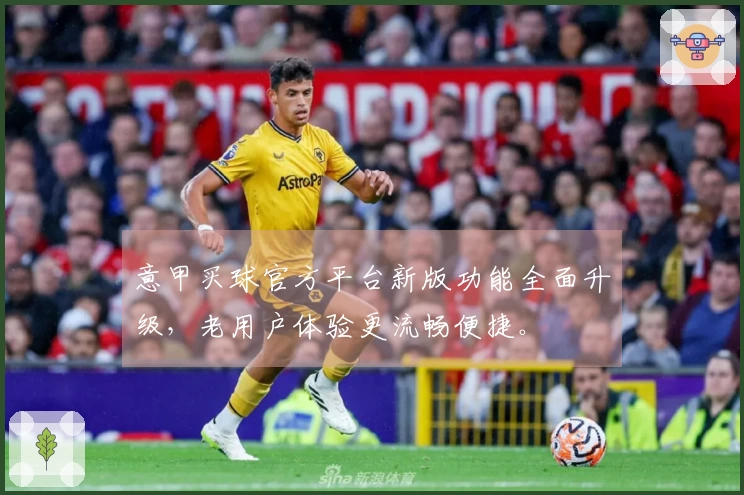 意甲买球官方平台新版功能全面升级，老用户体验更流畅便捷。