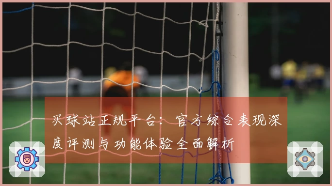买球站正规平台：官方综合表现深度评测与功能体验全面解析