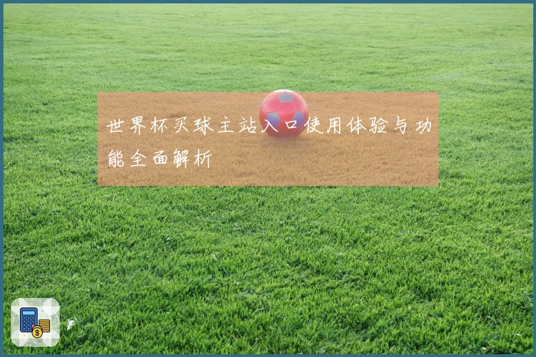 世界杯买球主站入口使用体验与功能全面解析