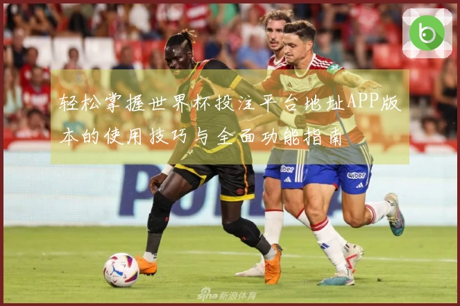 轻松掌握世界杯投注平台地址APP版本的使用技巧与全面功能指南