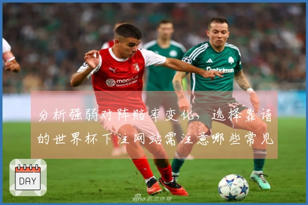 分析强弱对阵赔率变化，选择靠谱的世界杯下注网站需注意哪些常见误区