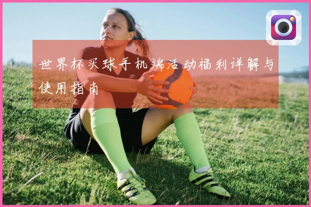 世界杯买球手机端活动福利详解与使用指南
