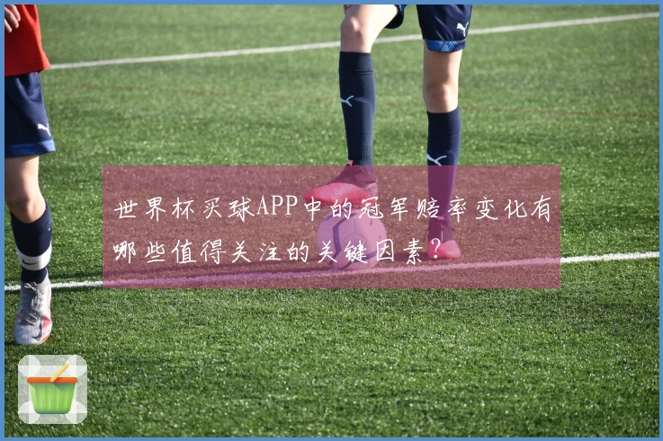 世界杯买球APP中的冠军赔率变化有哪些值得关注的关键因素？