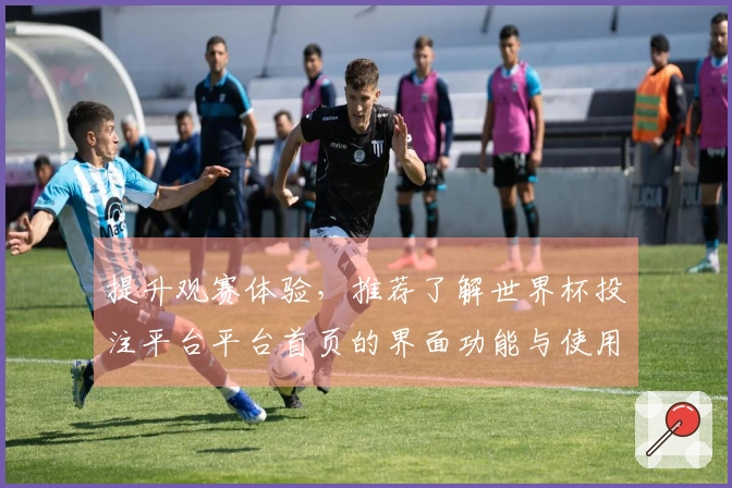提升观赛体验，推荐了解世界杯投注平台平台首页的界面功能与使用指南