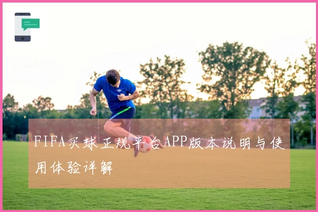 FIFA买球正规平台APP版本说明与使用体验详解