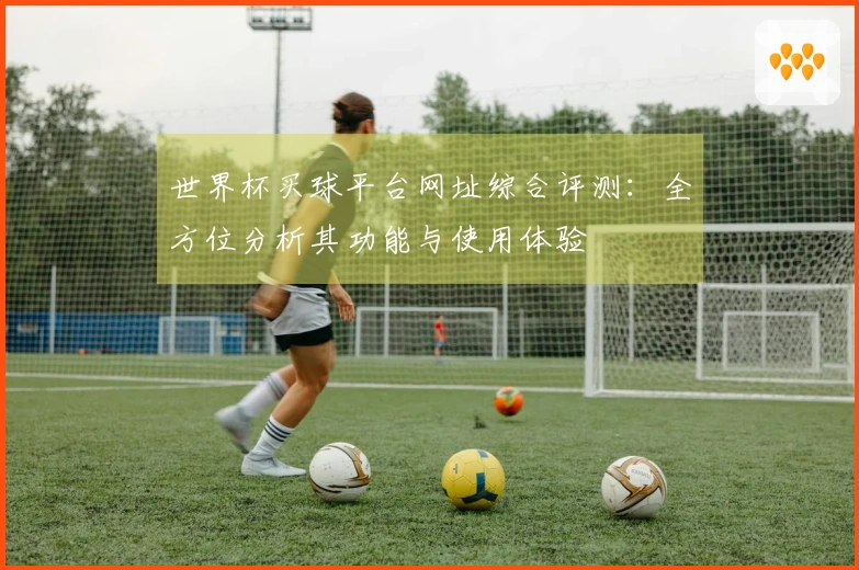 世界杯买球平台网址综合评测：全方位分析其功能与使用体验