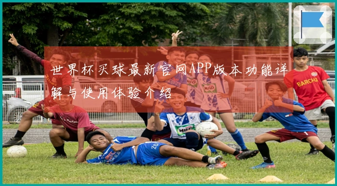 世界杯买球最新官网APP版本功能详解与使用体验介绍