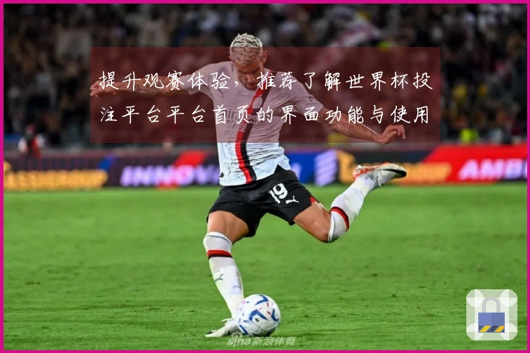 提升观赛体验,推荐了解世界杯投注平台平台首页的界面功能与使用指南