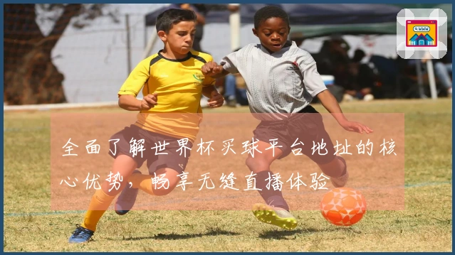全面了解世界杯买球平台地址的核心优势，畅享无缝直播体验